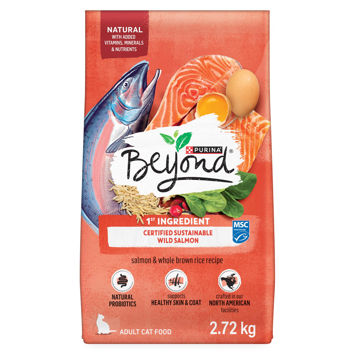 Beyond Simply Natural Dry Cat Food, Salmon and Brown Rice, 2.72 kg