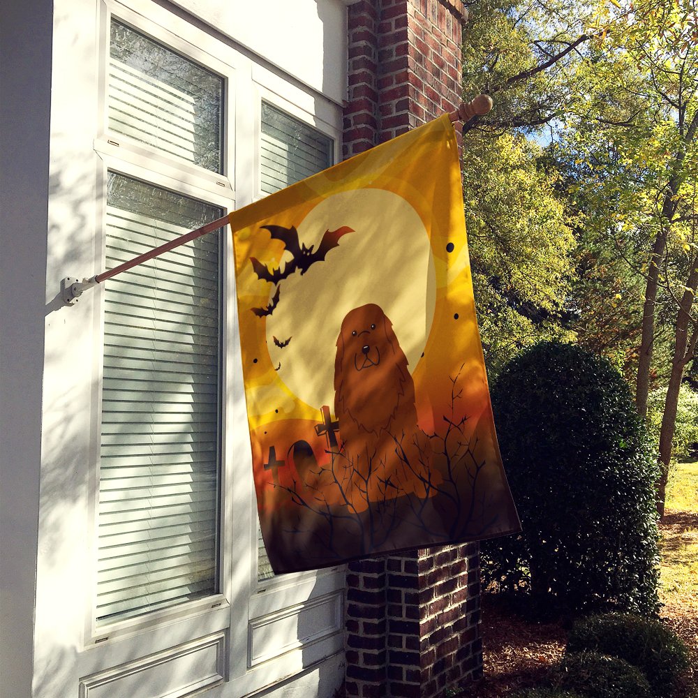 Caroline's Treasures BB4316CHF Caucasian Shepherd Dog Flag, Large