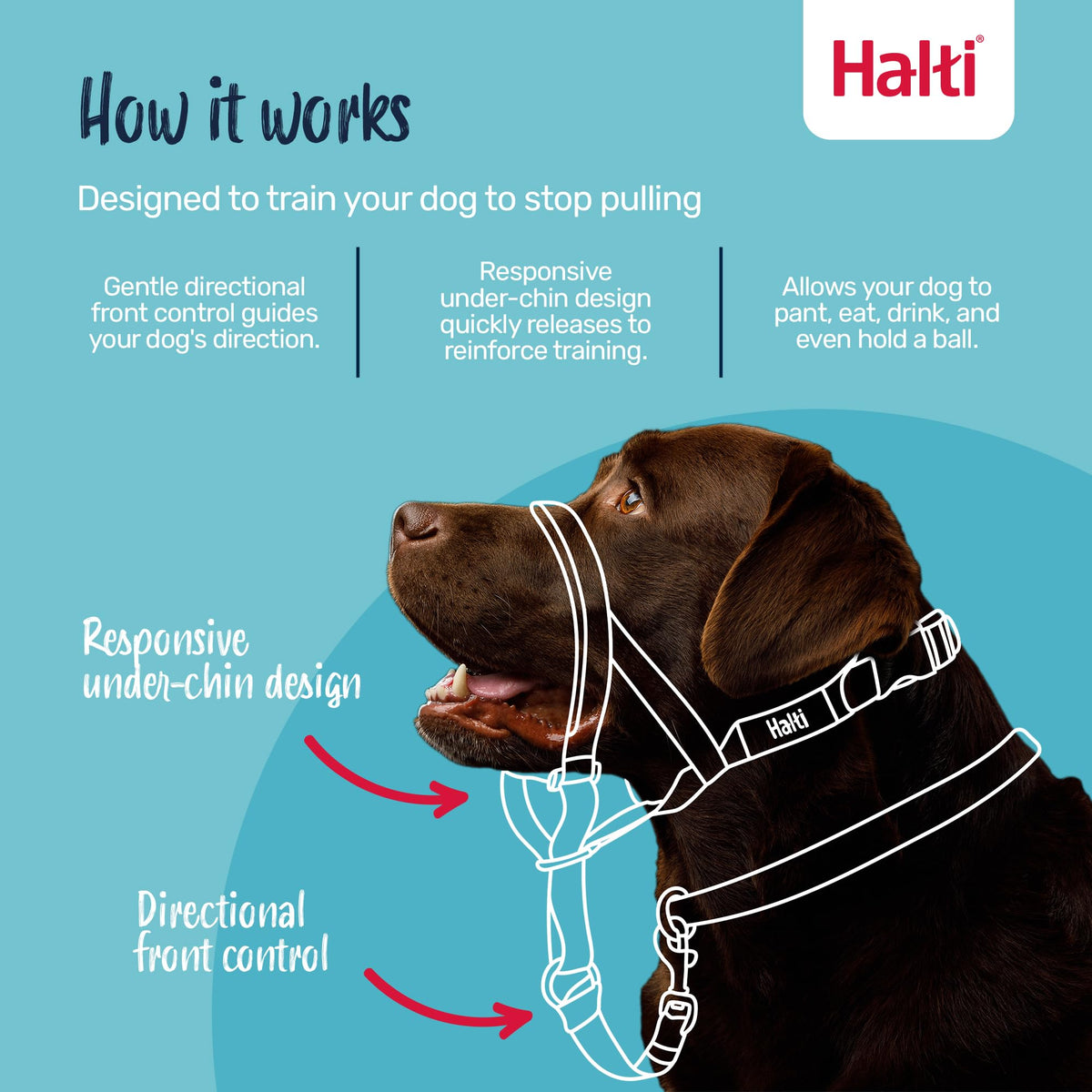 Halti Headcollar Anti-Pull Dog Collar, Size 3, Black, Medium Dogs