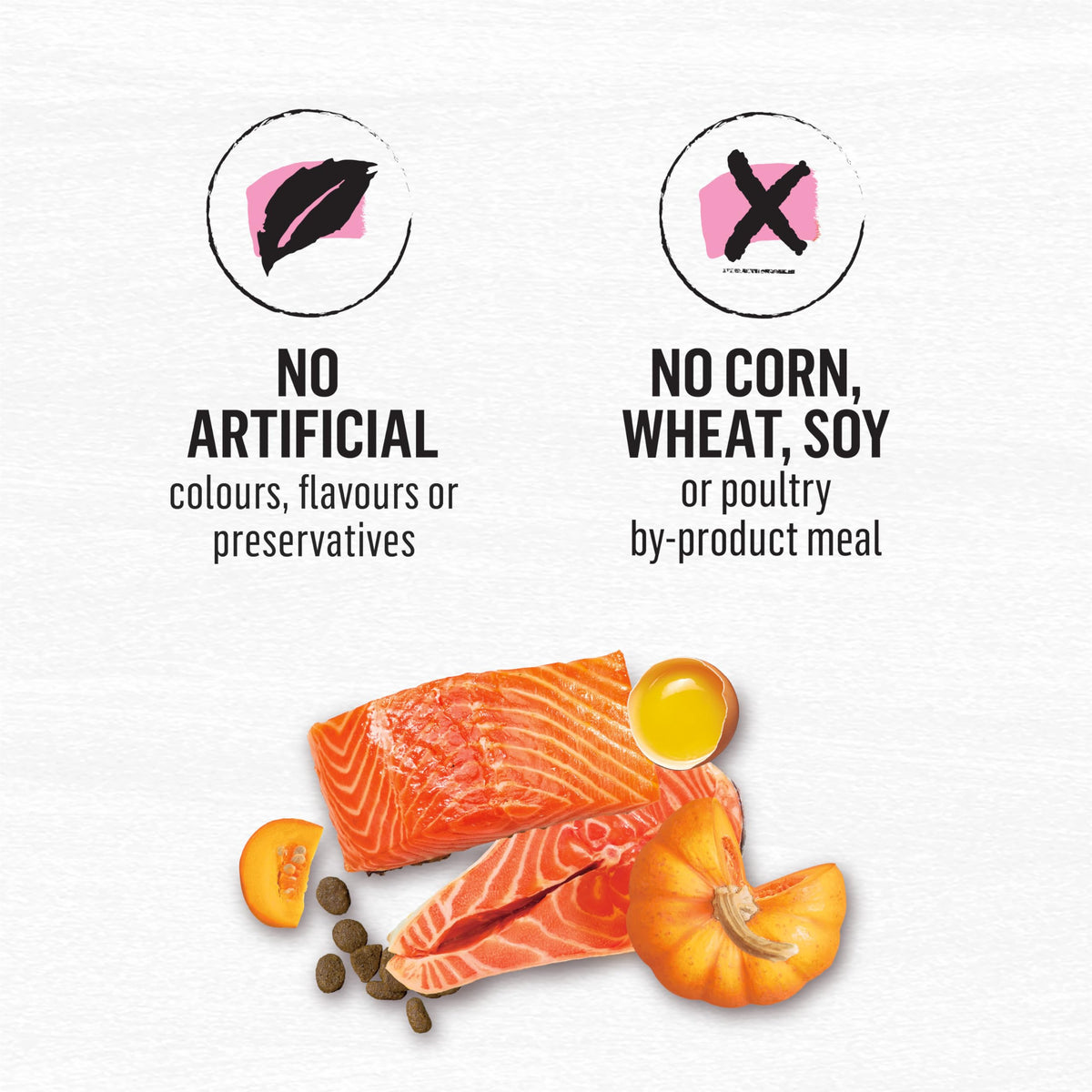Beyond Superfood Blend Dry Dog Food, Salmon, Egg & Pumpkin, 5 kg