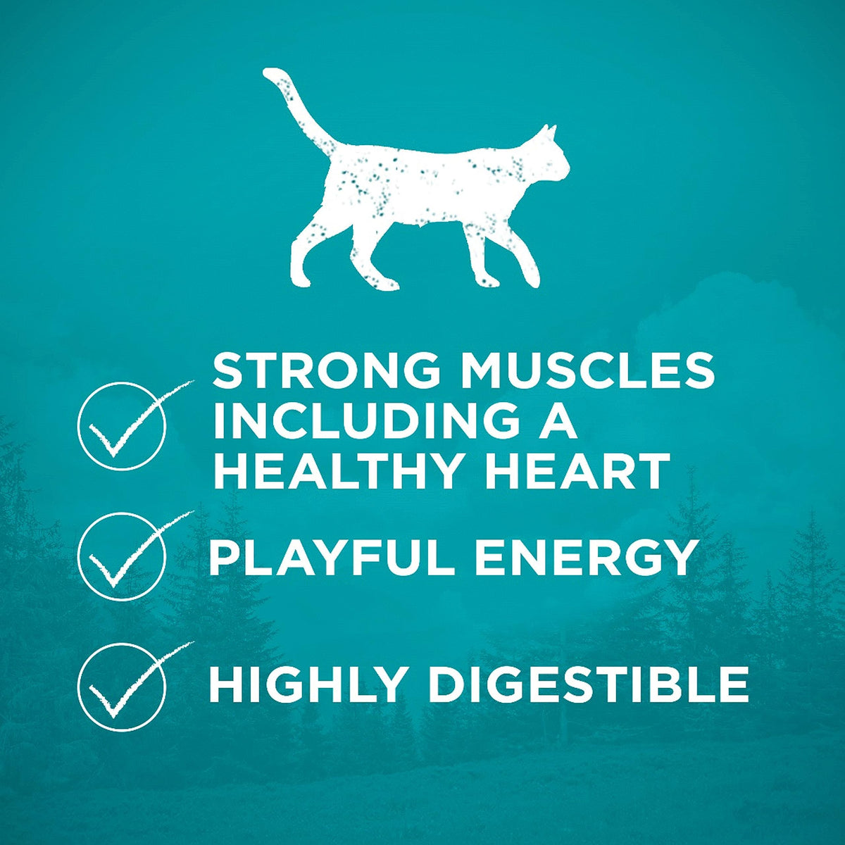 Purina ONE True Instinct Grain Free Dry Cat Food, Chicken, 6.53 kg