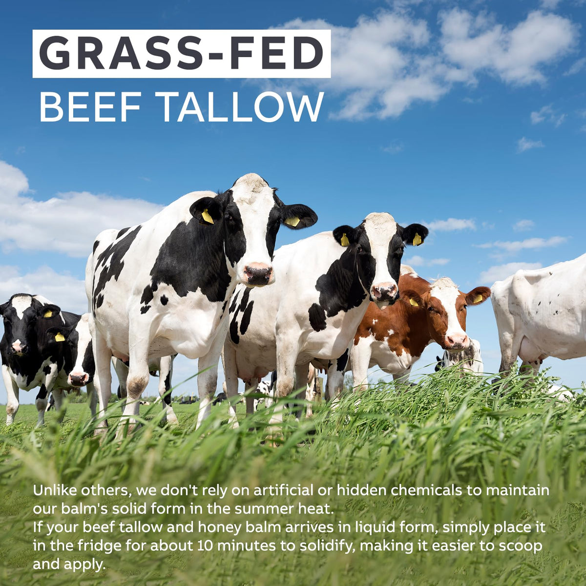 Beef Tallow and Honey Balm with Raw Honey and Olive Oil, Unscented