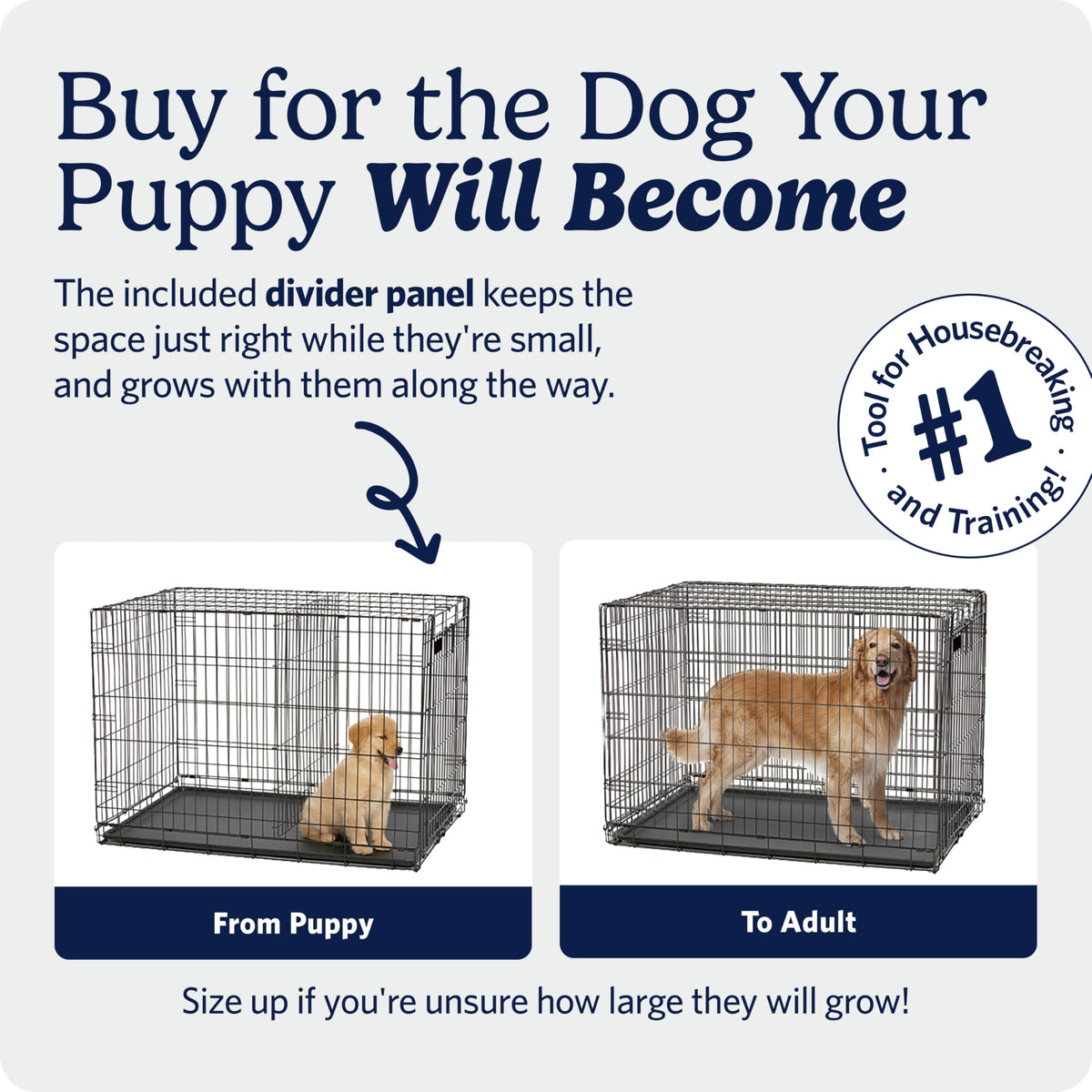 MidWest Homes for Pets iCrate Folding Dog Crate, 22 Inch