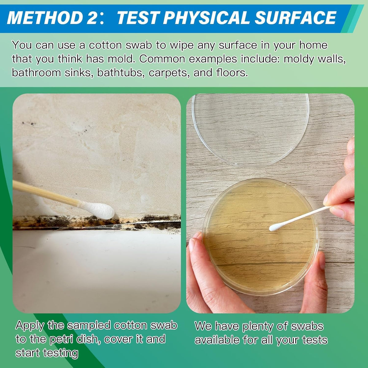 Home Mold Test Kit, 12 Tests