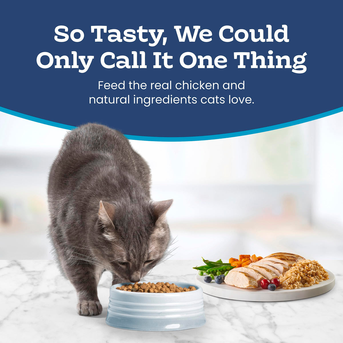 Blue Buffalo Tastefuls Sensitive Stomach Cat Food, Chicken, 3.1kg