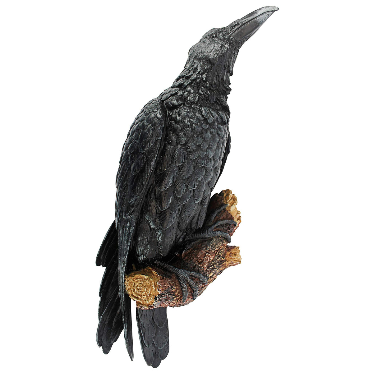 Design Toscano The Raven's Perch Gothic Wall Sculpture, 46 cm