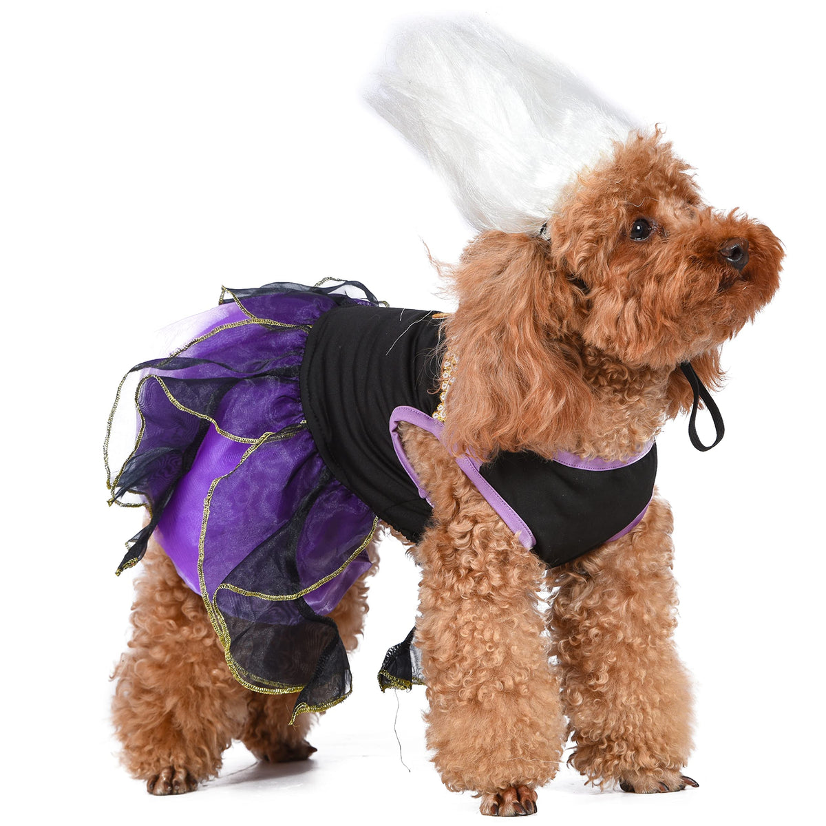 Disney for Pets Villains Ursula Dog Costume, Large