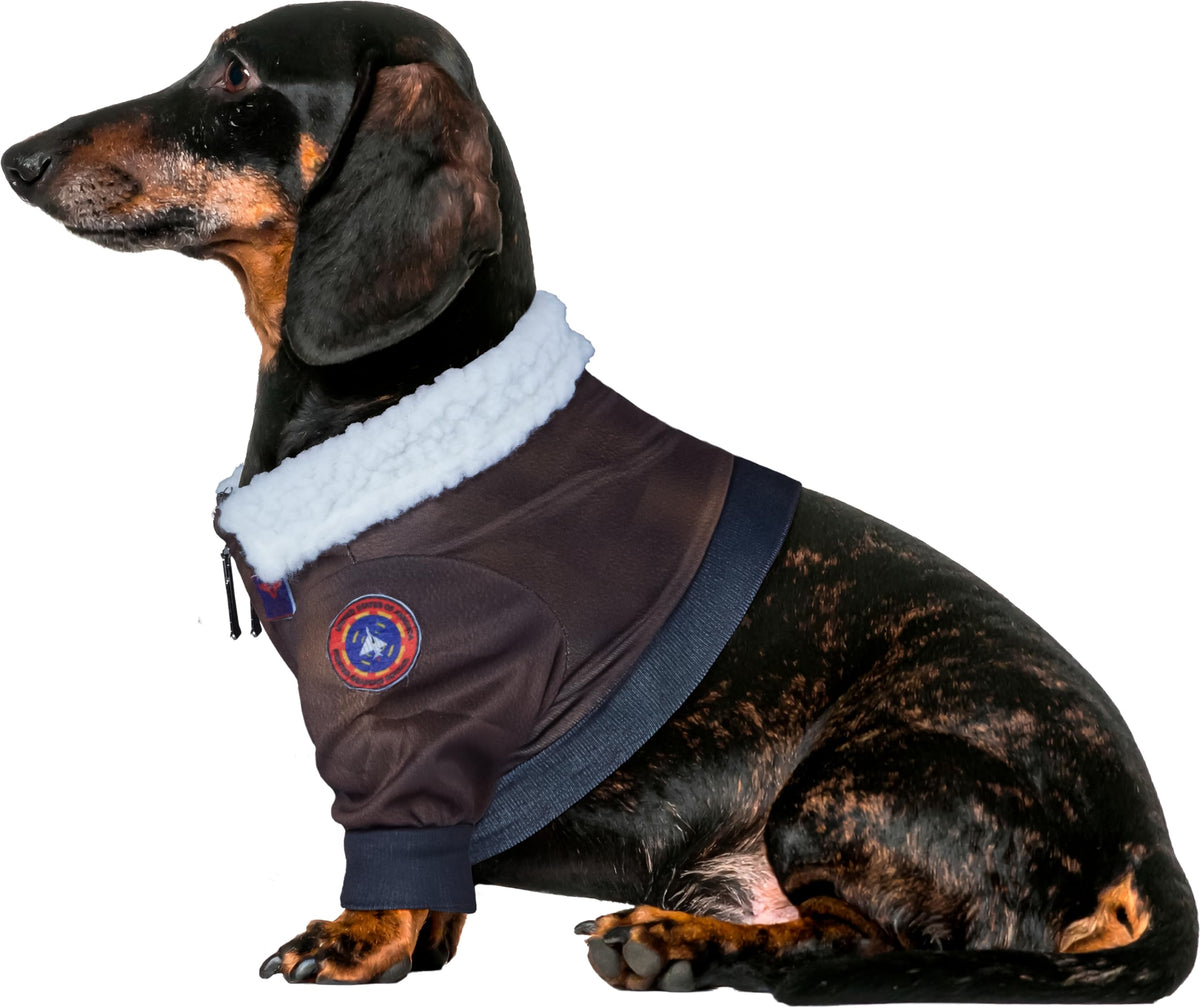 Rubies Top Gun Classic Movie Pet Costume, X-Large