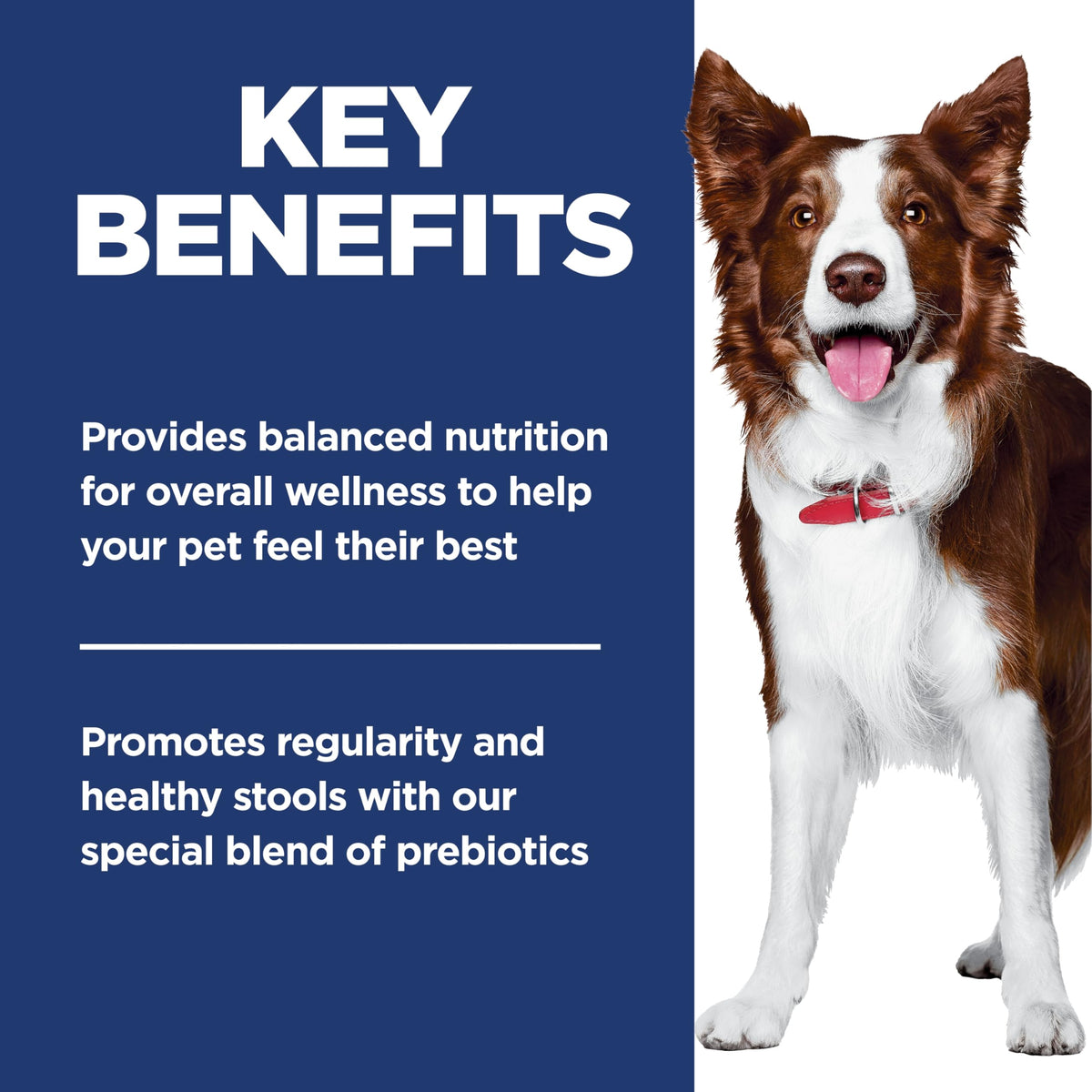 Hill's Science Diet Adult Perfect Digestion Dog Food, Chicken, 10kg