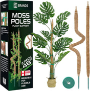 K-Brands Bendable Moss Pole Plant Support, 48" (2 Pack)