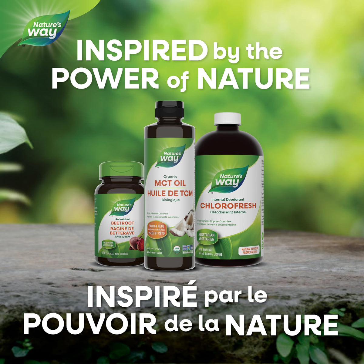 Nature's Way 100% Pure MCT Oil, Organic Coconut, 480 mL