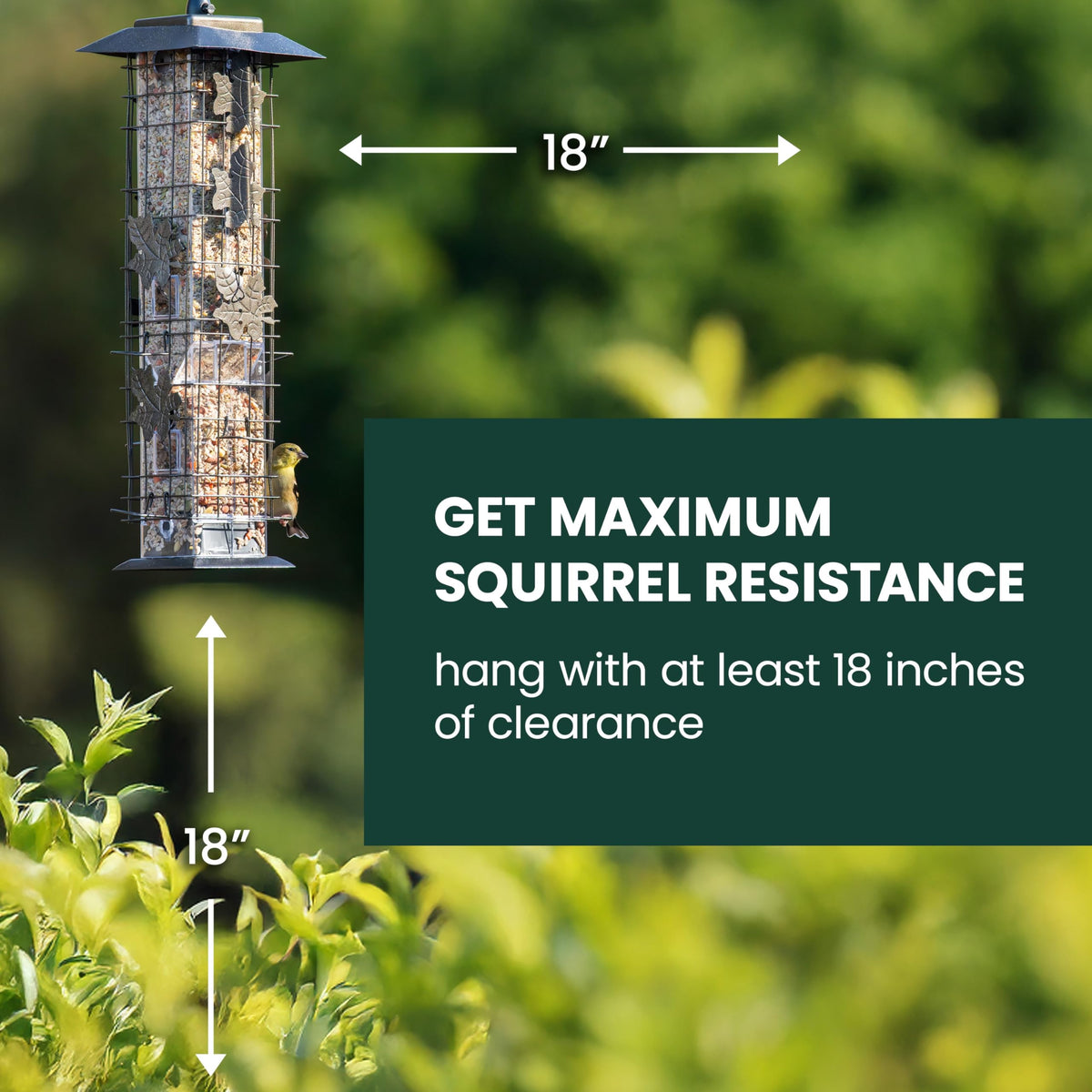 Perky-Pet 336-1SR Squirrel-Be-Gone Bird Feeder, 2 lb
