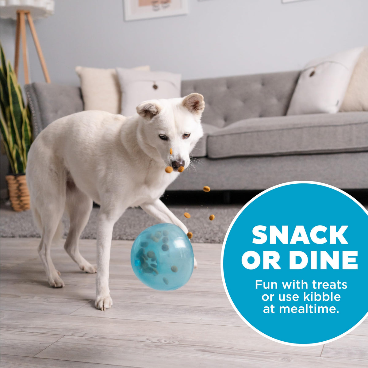 Planet Dog Orbee-Tuff Snoop Treat Puzzle Dog Toy, Blue
