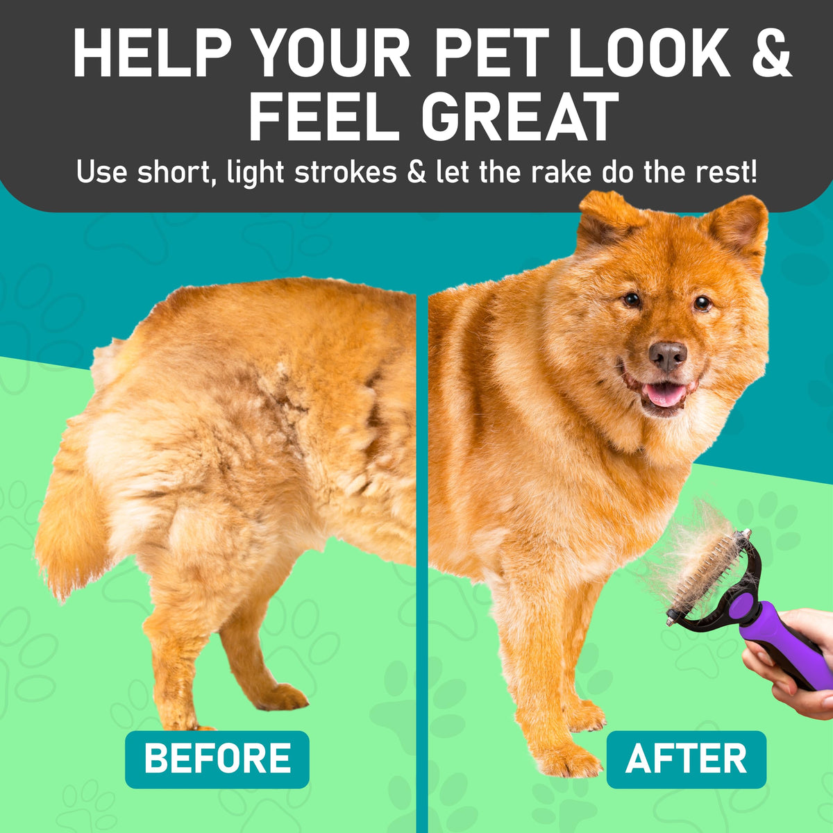 Maxpower Planet Double-Sided Pet Grooming Brush, Purple