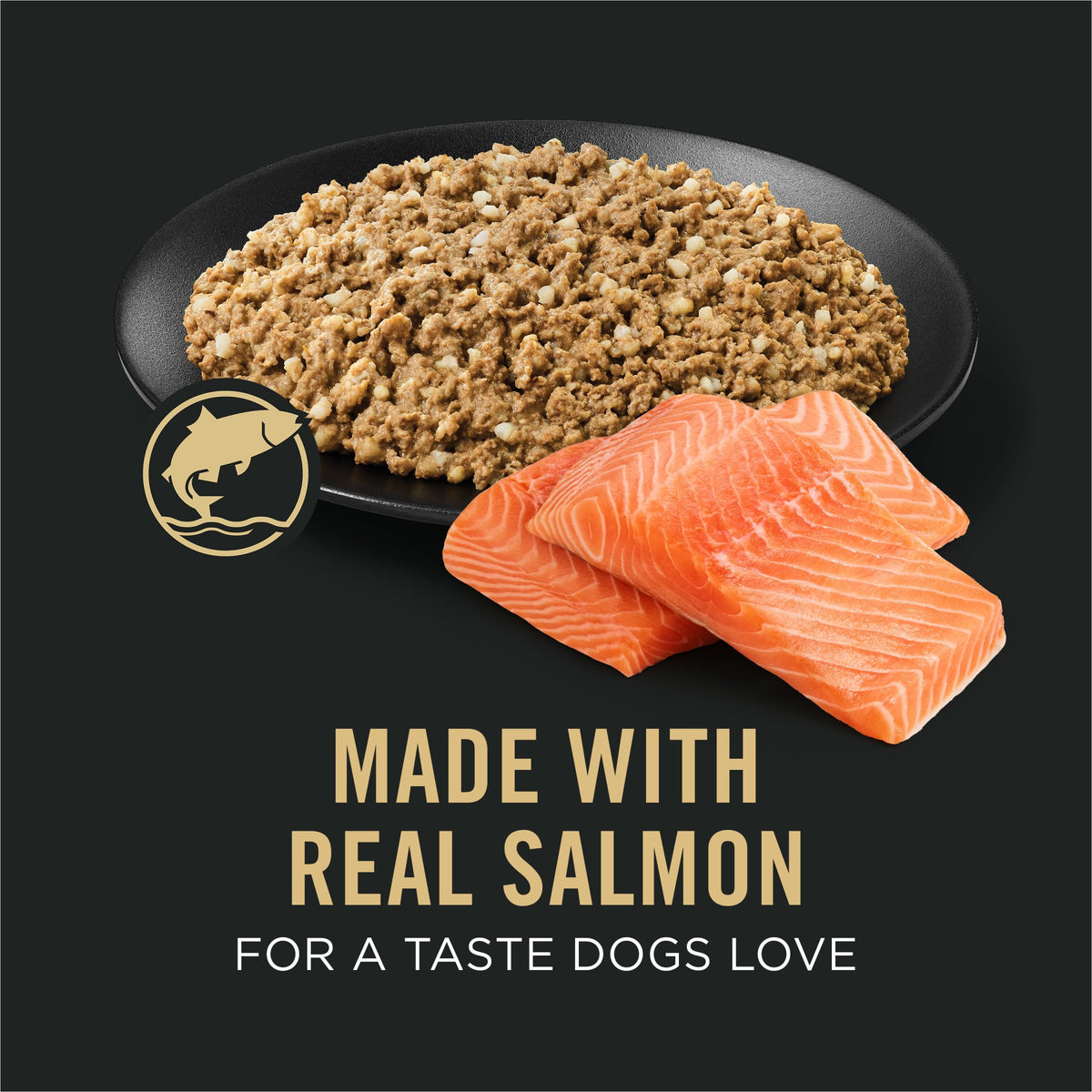 Purina Pro Plan Sensitive Skin & Stomach Wet Dog Food, Salmon, 12 Pack