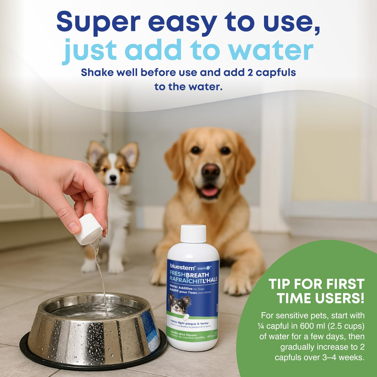 bluestem Dog Dental Water Additive, Vanilla Mint, 500 ml