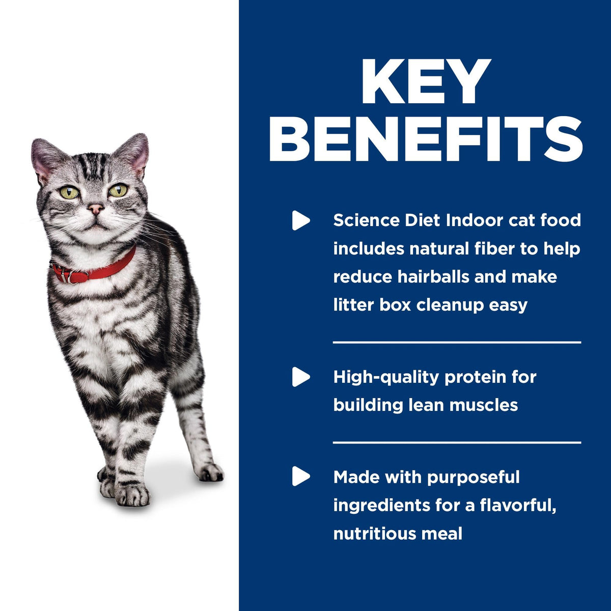 Hill's Science Diet Adult Indoor Canned Cat Food, Chicken, 5.5 oz x 24