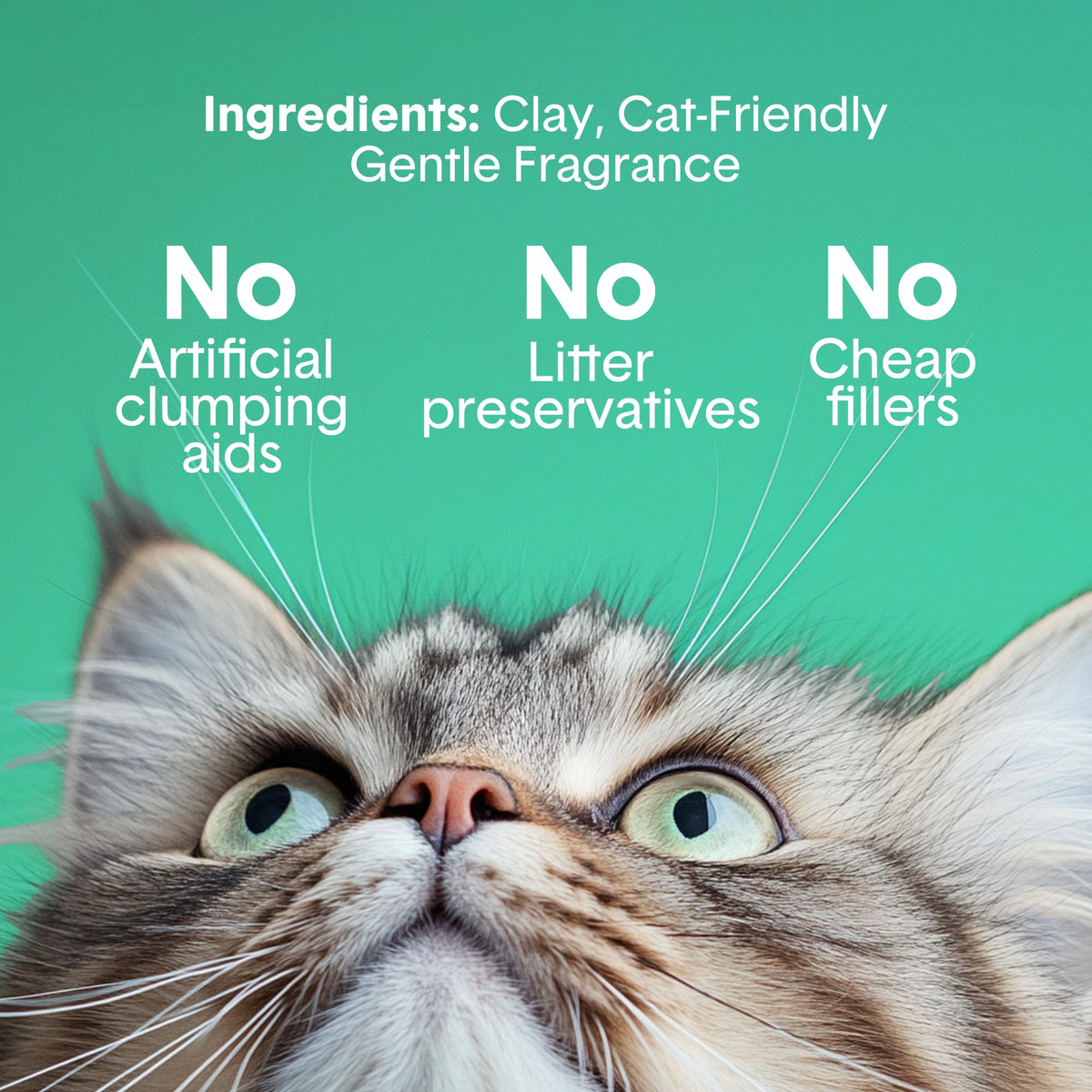 Boxie Gently Scented Clumping Clay Cat Litter, 28 lb