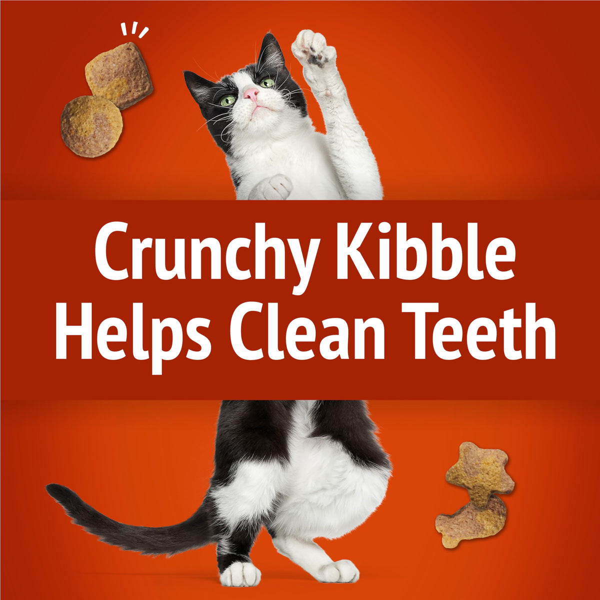 Friskies Party Mix Cat Treats, Crunch Chicken, 510 g, 3 Pack