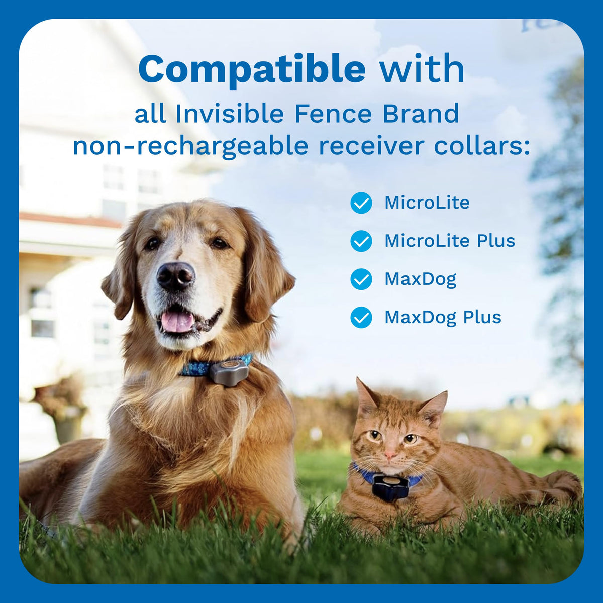 Invisible Fence Power Cap Batteries for Microlite Collars, 2-Pack
