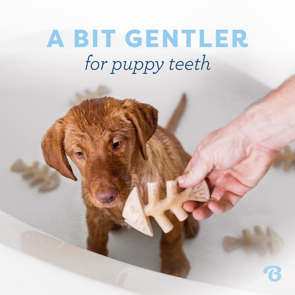 Benebone Puppy 4-Pack Dog Chew Toys, Small