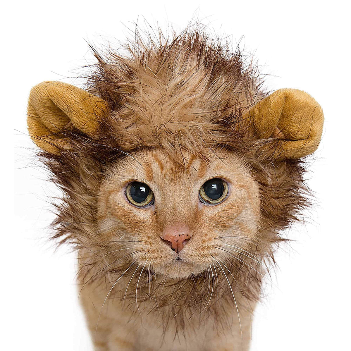 Pet Krewe Lion Mane Cat Costume, Neck Size 8-14 Inch