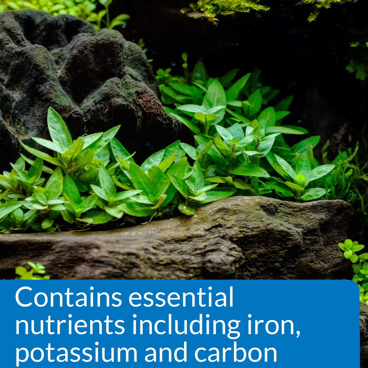 API Root Tabs Freshwater Aquarium Plant Fertilizer, 10 Count