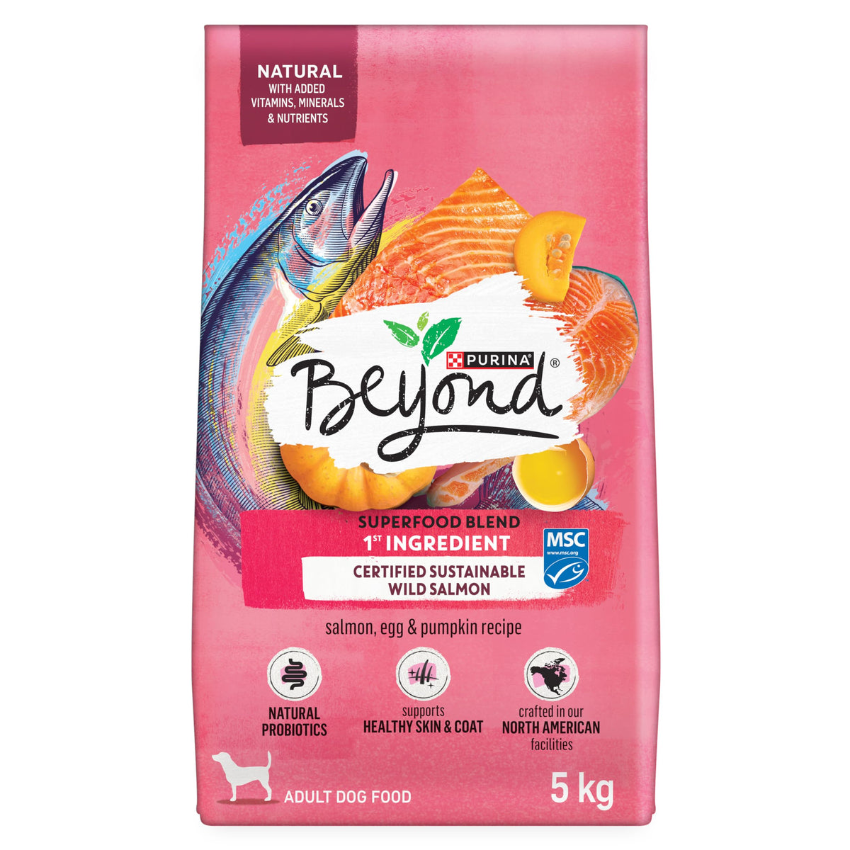 Beyond Superfood Blend Dry Dog Food, Salmon, Egg & Pumpkin, 5 kg