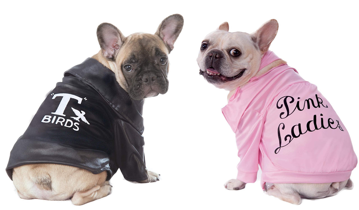Rubies Grease 40th Anniversary Pink Ladies Pet Jacket, X-Small