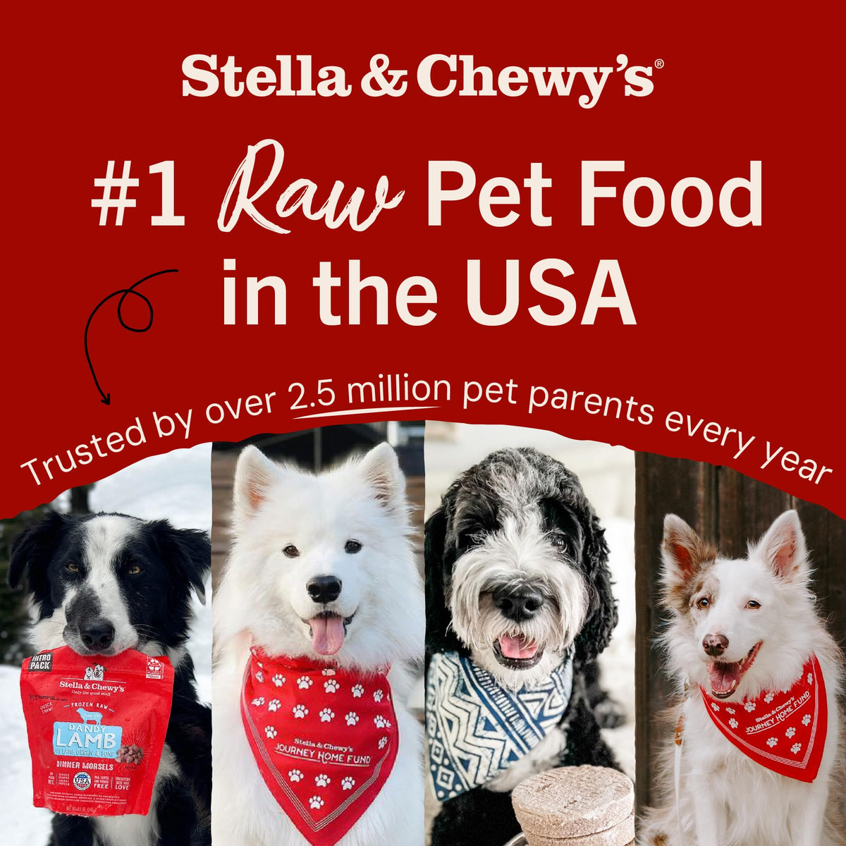 Stella and Chewy's Freeze-Dried Raw Dinner Patties, Red Meat, 156g