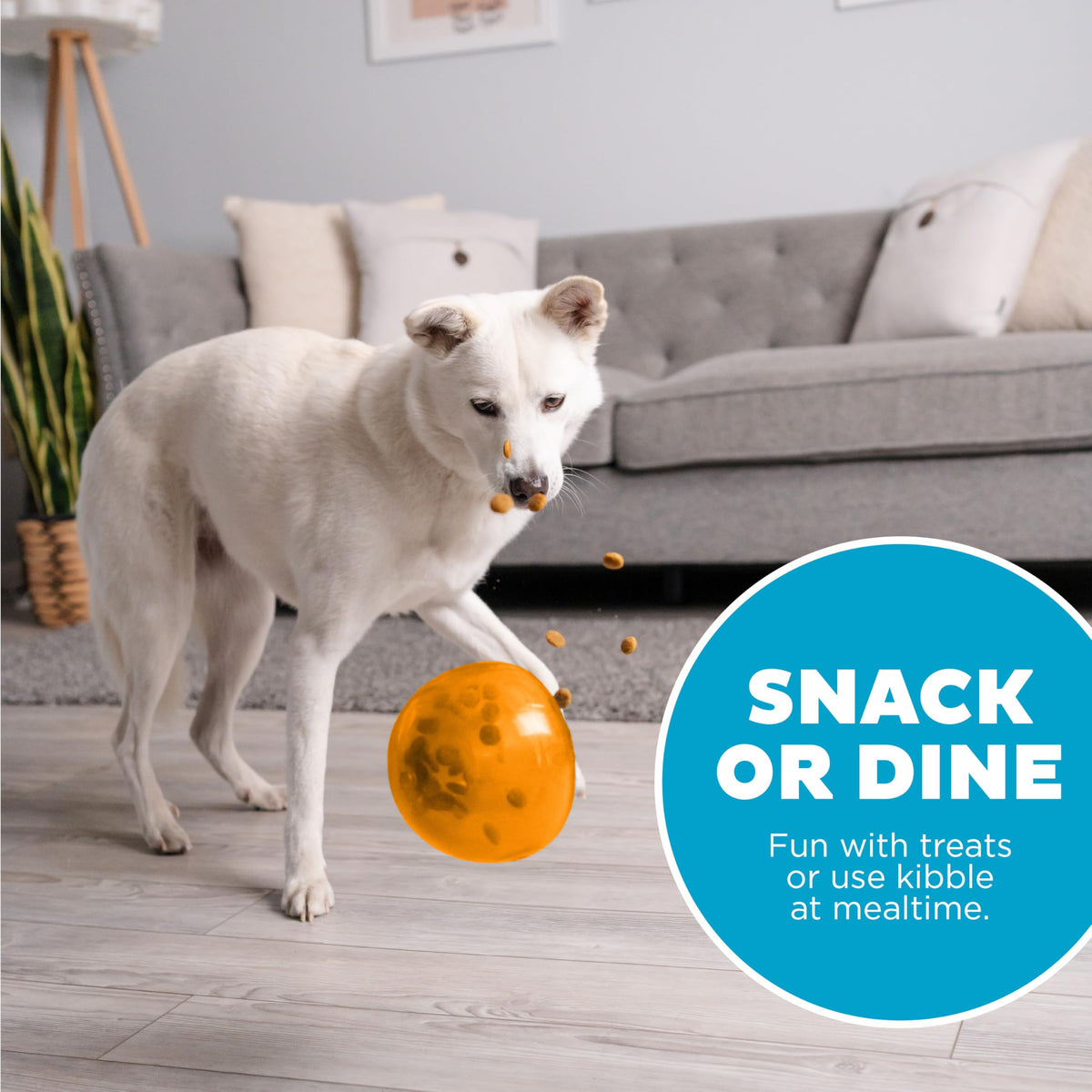 Outward Hound Snoop Treat Dispenser Puzzle Ball, Orange, 5 in