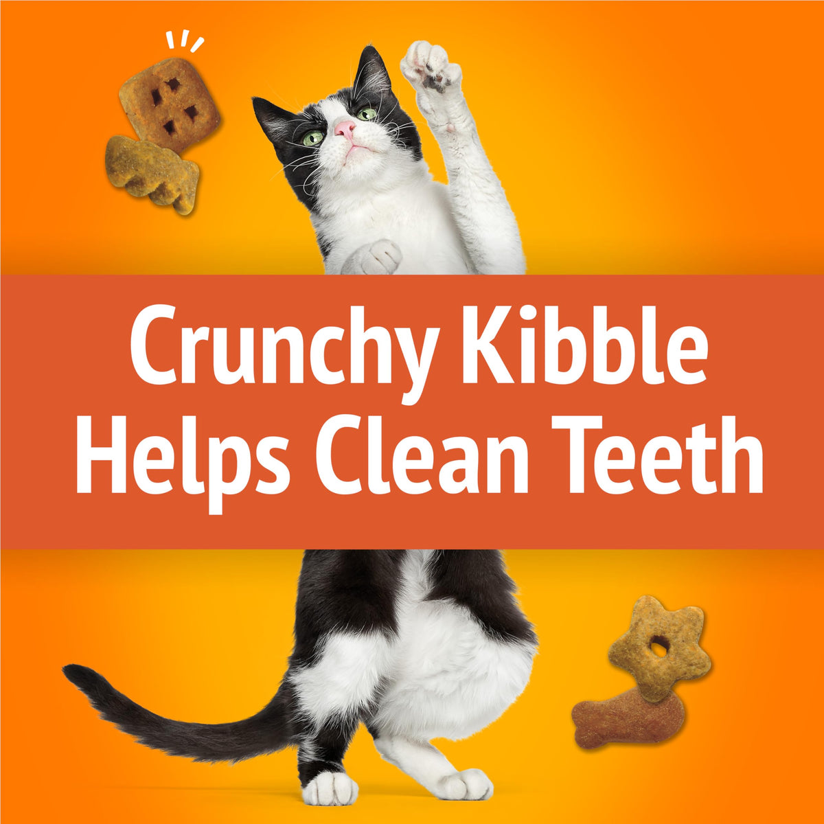 Friskies Party Mix Cat Treats, Original Crunch Chicken, 3 x 510 g
