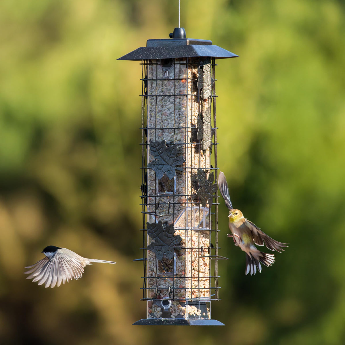 Perky-Pet 336-1SR Squirrel-Be-Gone Bird Feeder, 2 lb