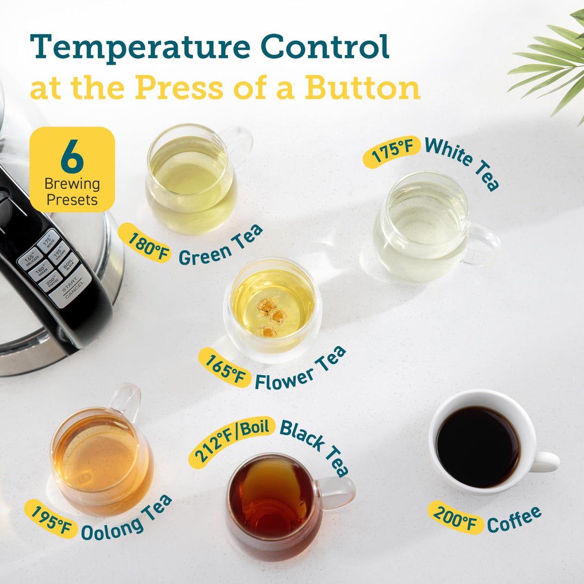Cosori Electric Kettle, 6 Temperature Presets, 1.7L, Black