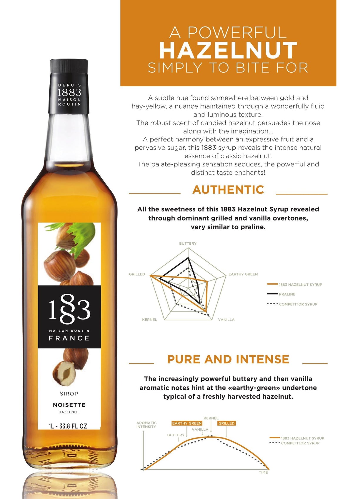 Maison Routin 1883 Roasted Hazelnut Syrup, 1000 mL