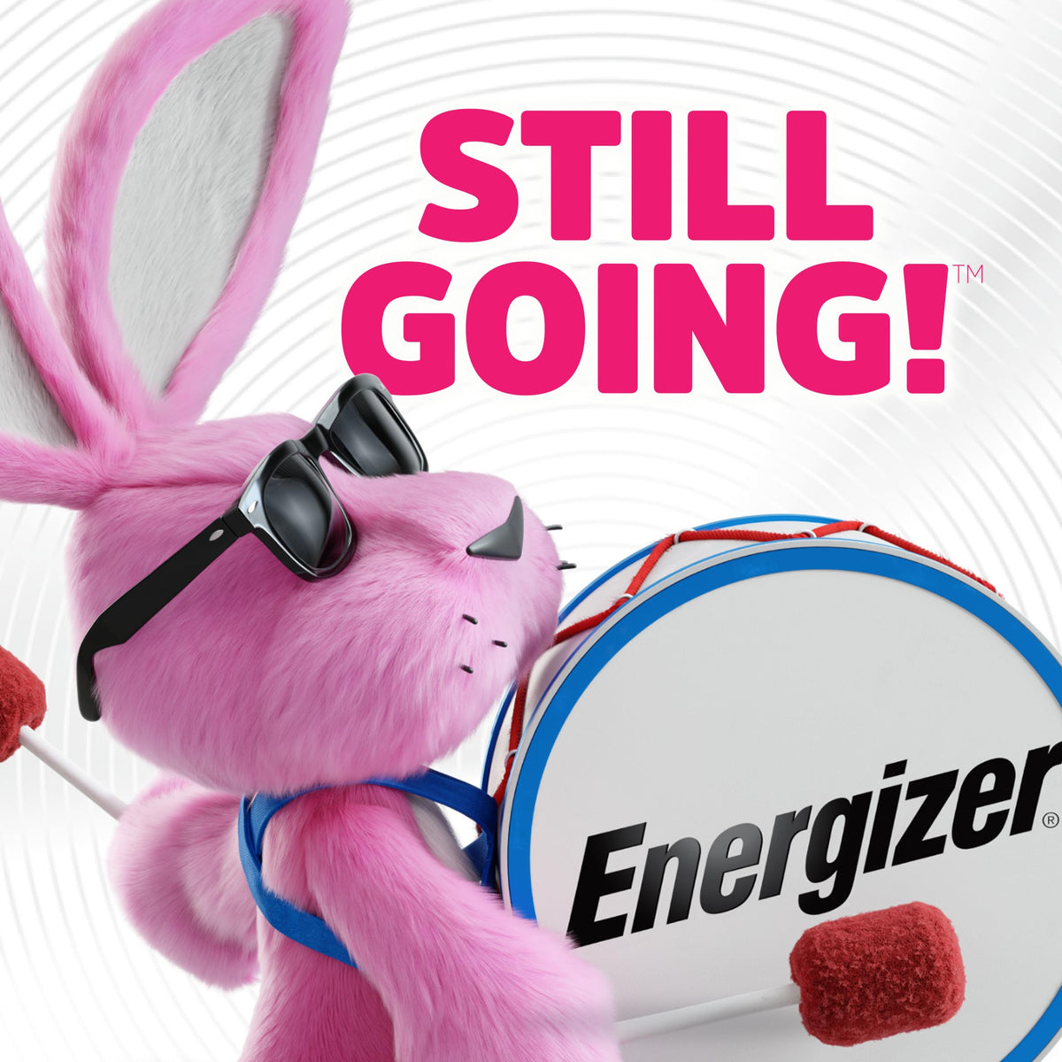 Energizer Rechargeable Battery Charger for AA, AAA, C, D and 9V