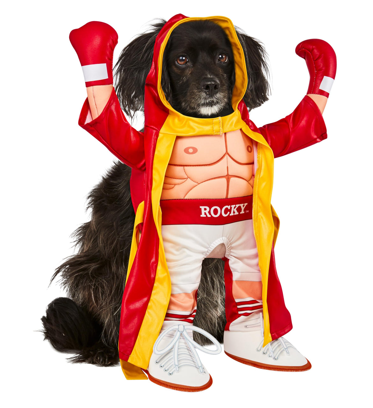 Rubies Rocky Pet Costume, Large