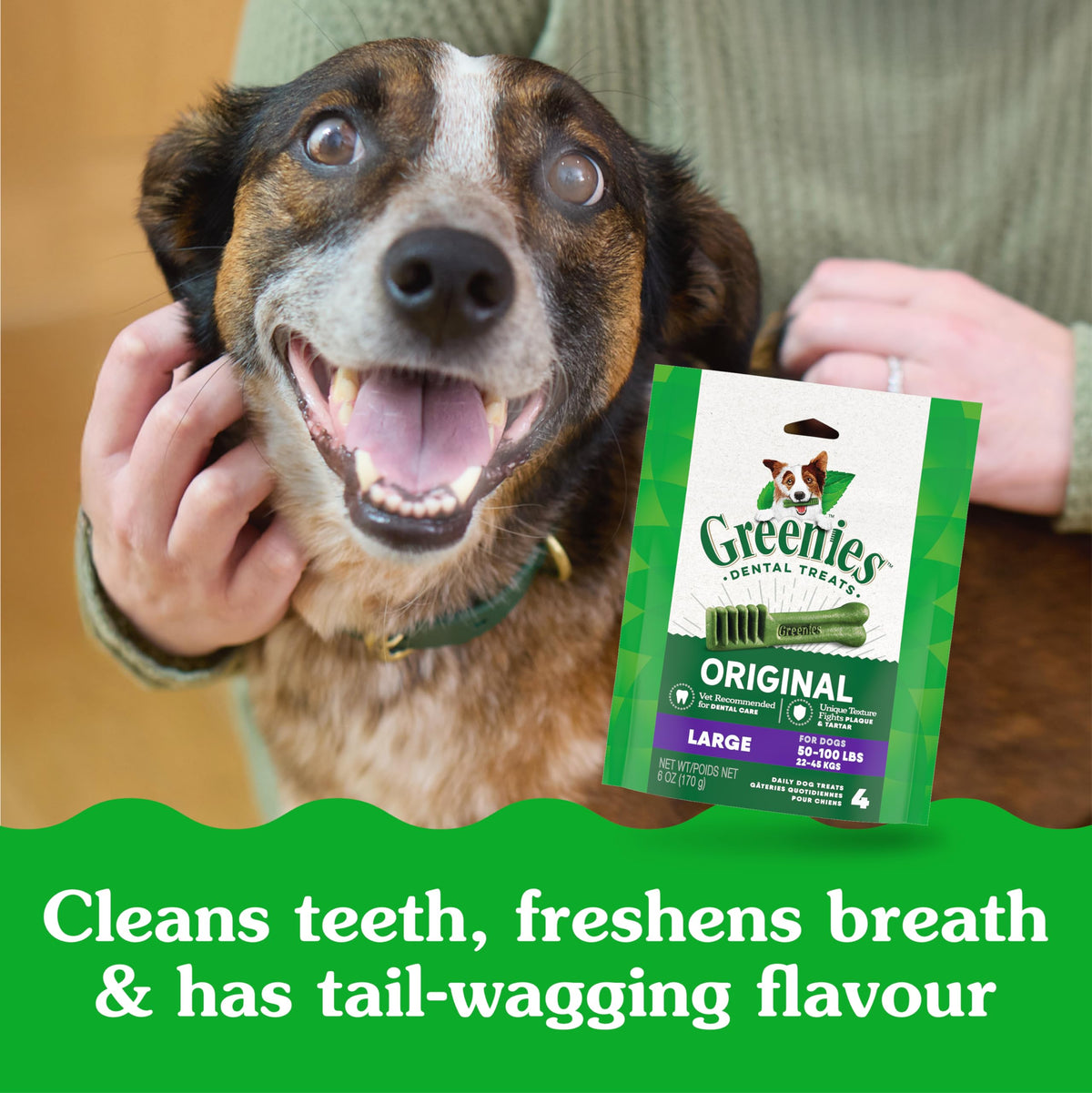 GREENIES Original Large Dental Dog Treats, 34 Count