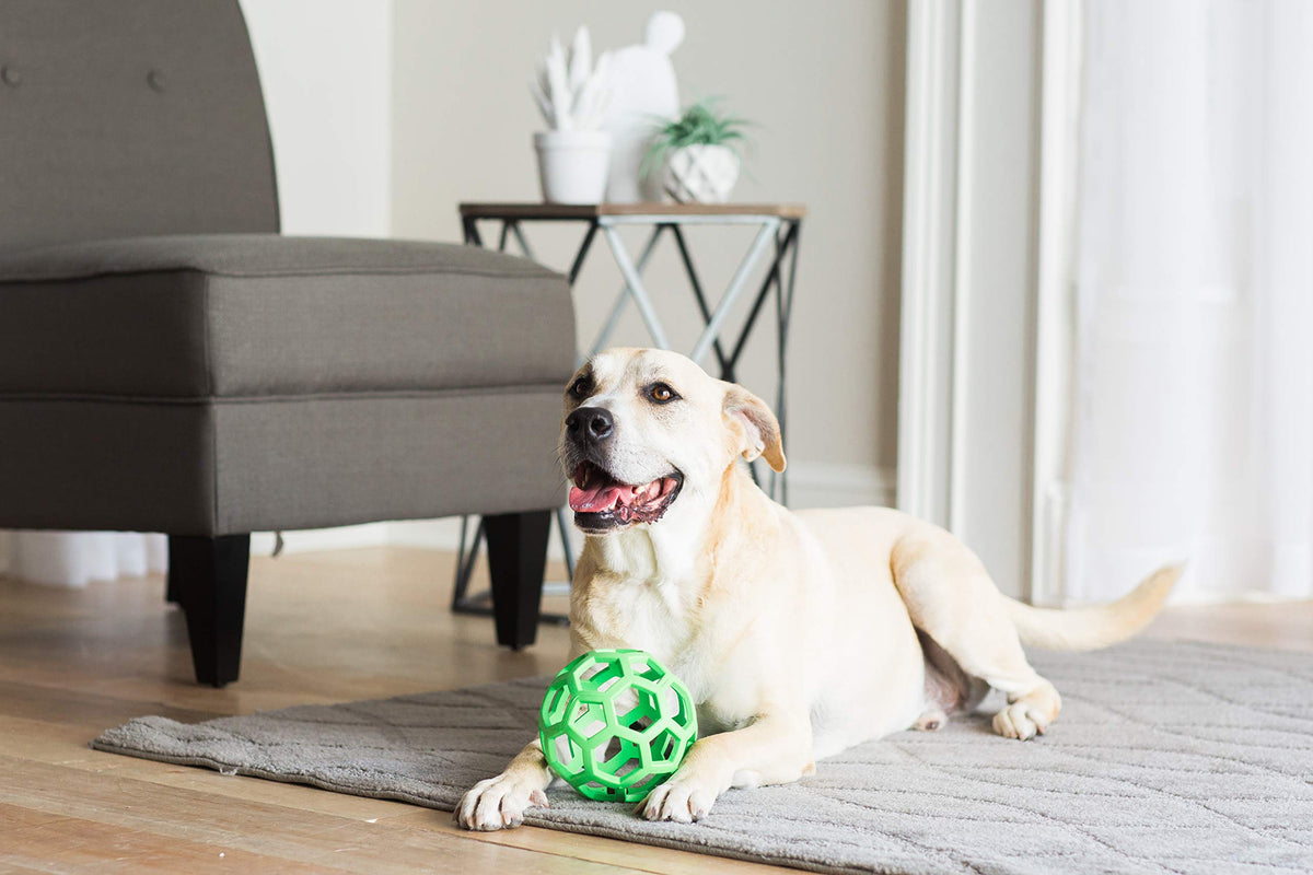 JW Pet HOL-ee Roller Original Dog Puzzle Ball, Large, Assorted Colours