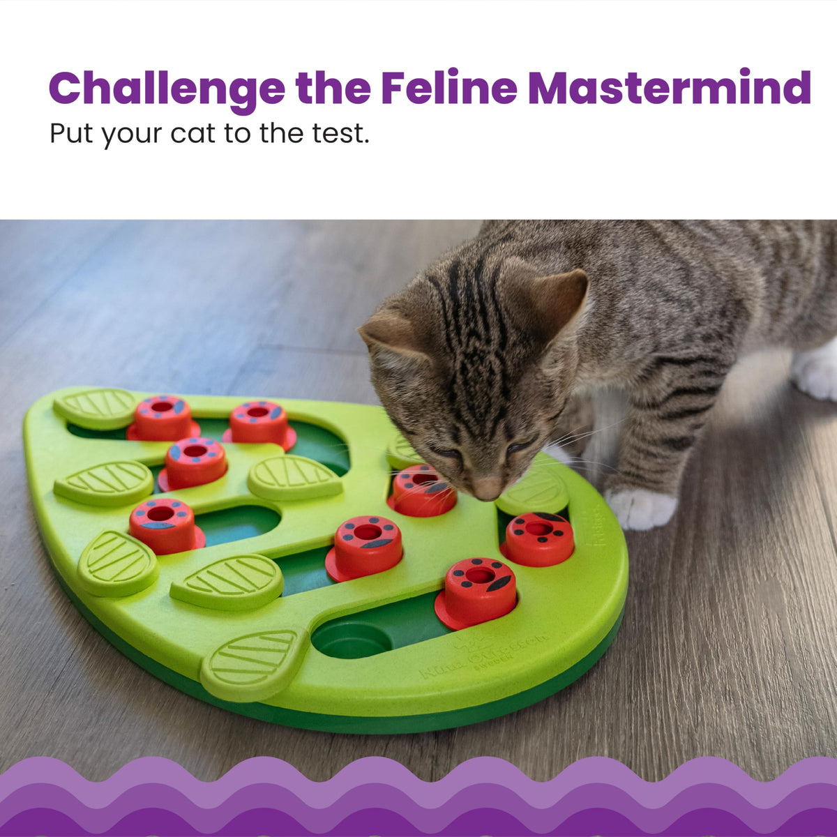 Catstages Buggin' Out Puzzle & Play Treat Puzzle Cat Toy, Green