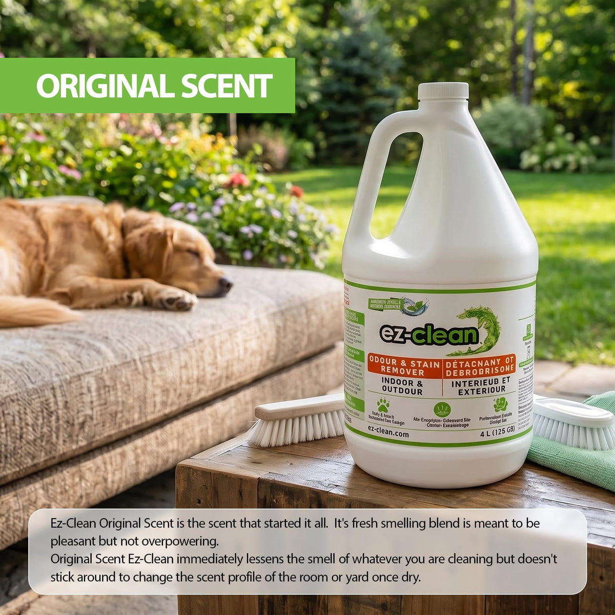 ez-clean Advanced Bio Enzyme Pet Odour Remover, 4 L