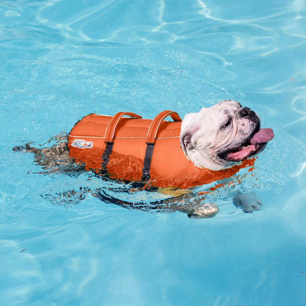 Outward Hound Granby Splash Dog Life Jacket, X-Small, Orange