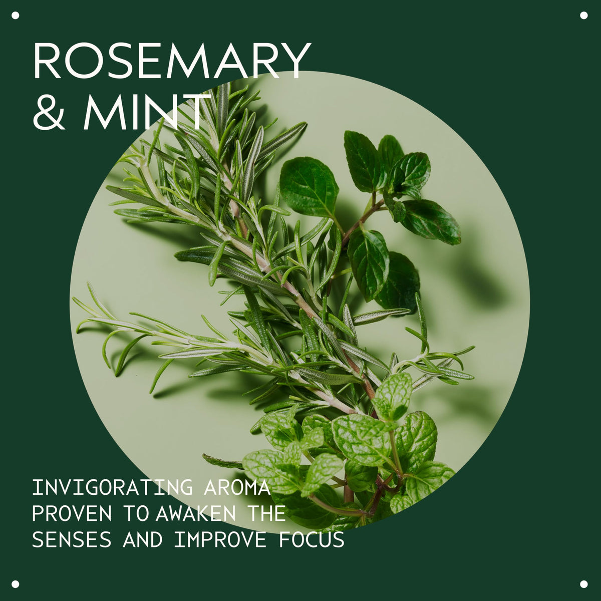 Aveda Rosemary Mint Purifying Shampoo, 250ml