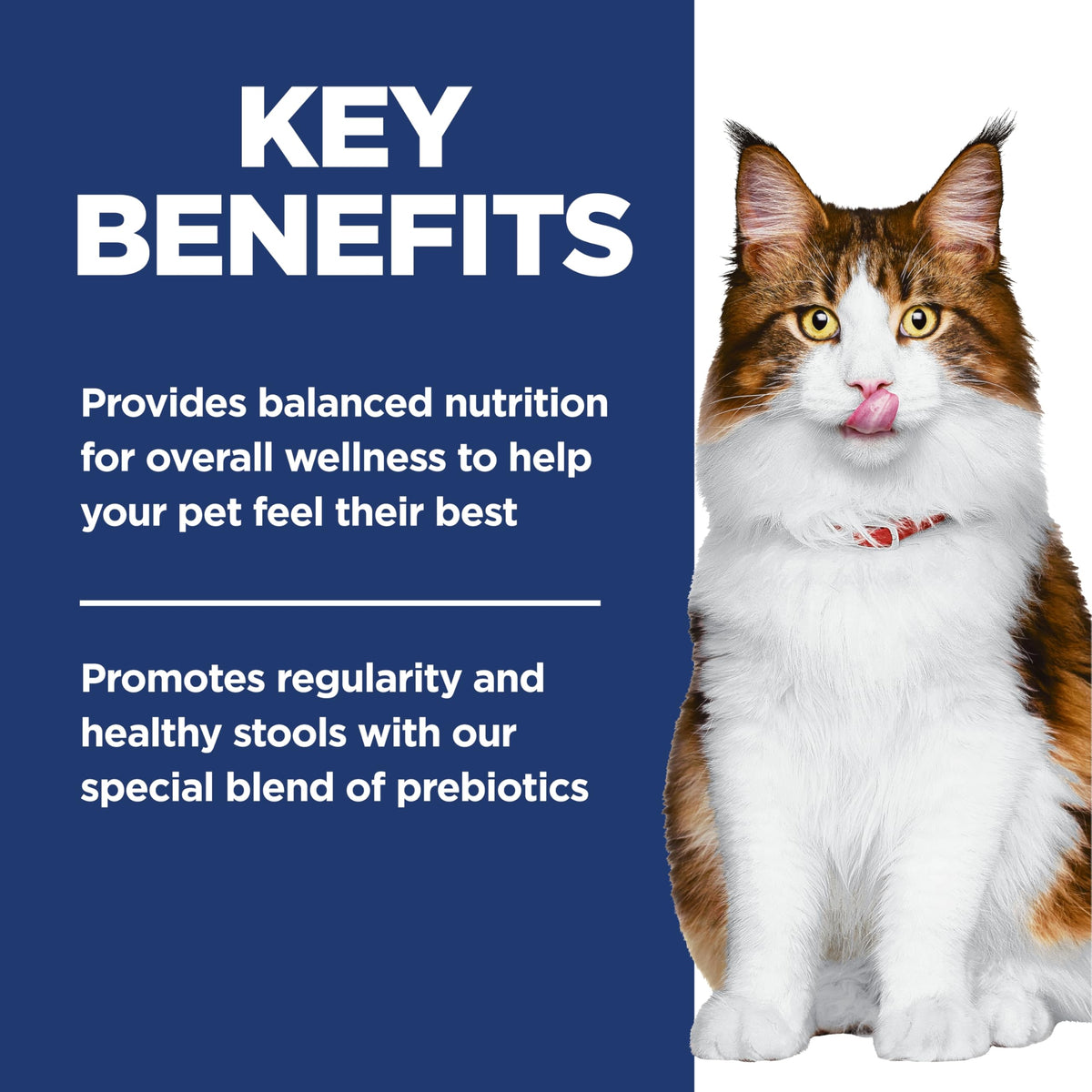 Hill's Science Diet Adult Perfect Digestion Cat Food, Salmon, 1.58 kg