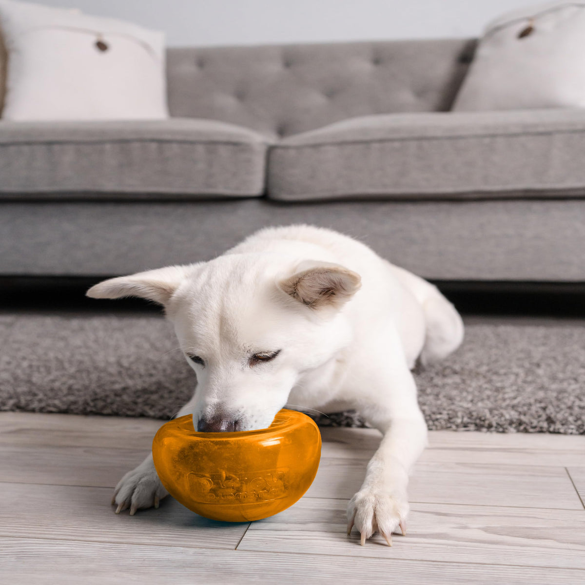 Outward Hound Snoop Treat Dispenser Puzzle Ball, Orange, 5 in