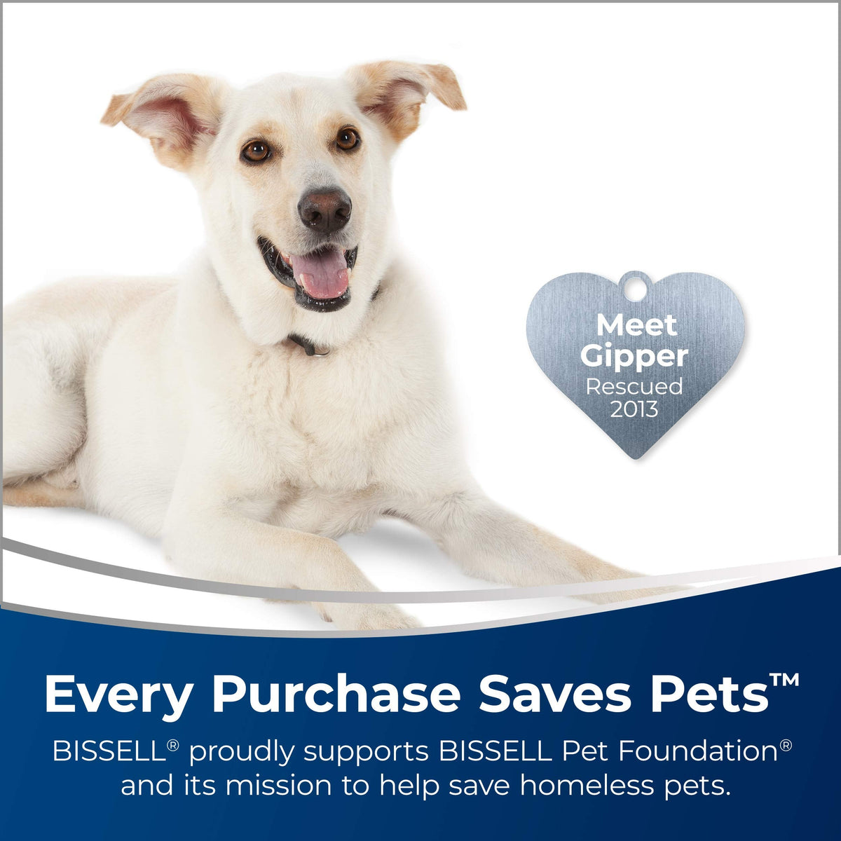 Bissell Power Steamer 3-in-1 Steam Mop and Handheld, 2685B