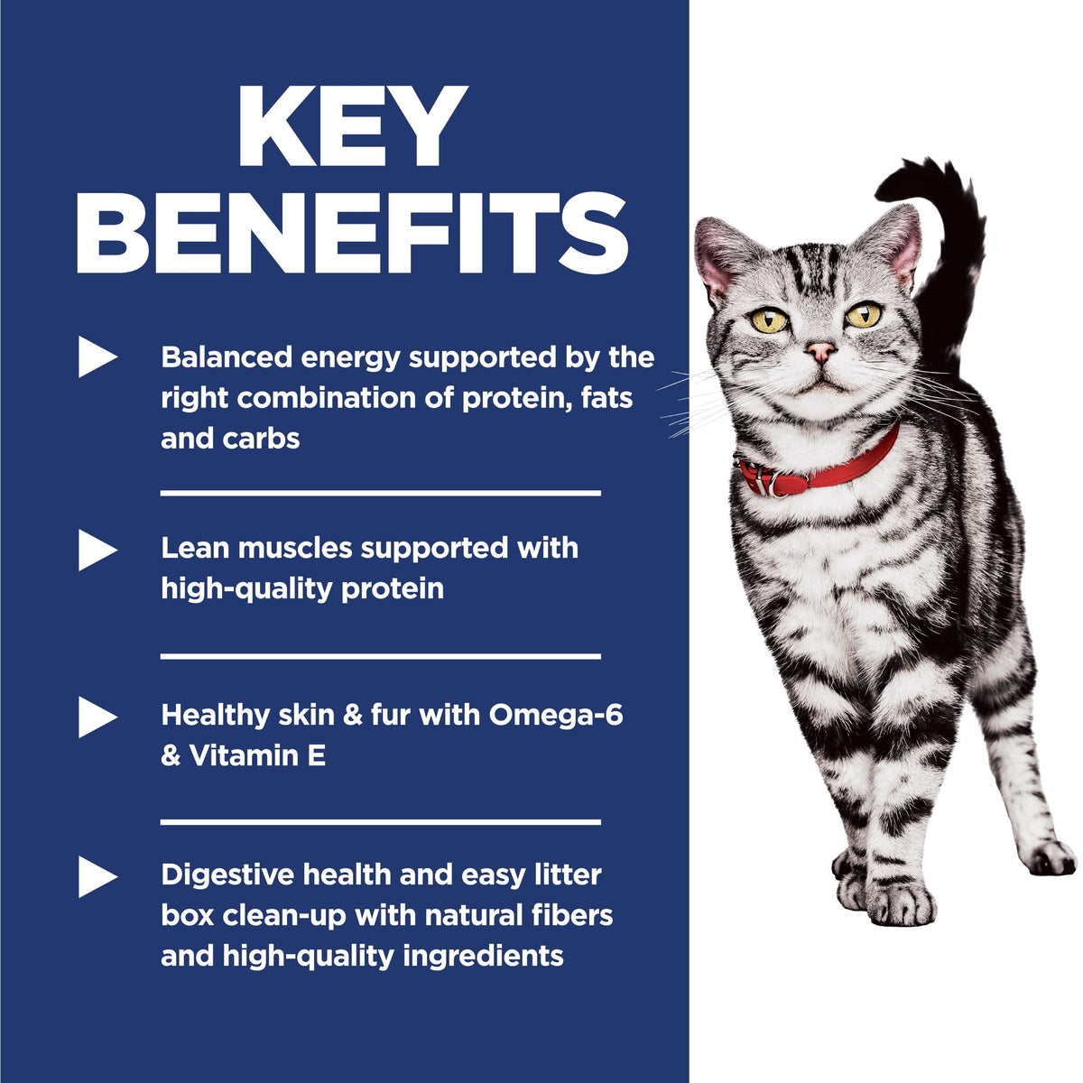 Hill's Science Diet Adult Indoor Dry Cat Food, Chicken, 1.58 kg