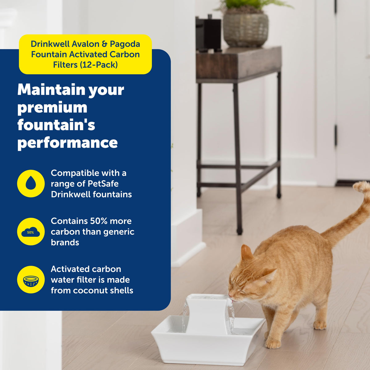 PetSafe Drinkwell Carbon Replacement Filters, 12-Pack