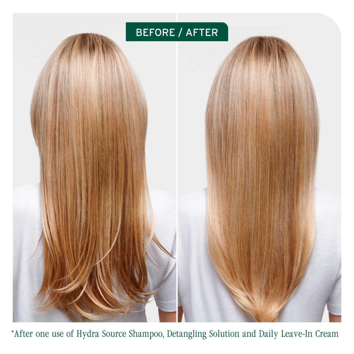 Biolage HydraSource Detangling Solution Conditioner for Dry Hair
