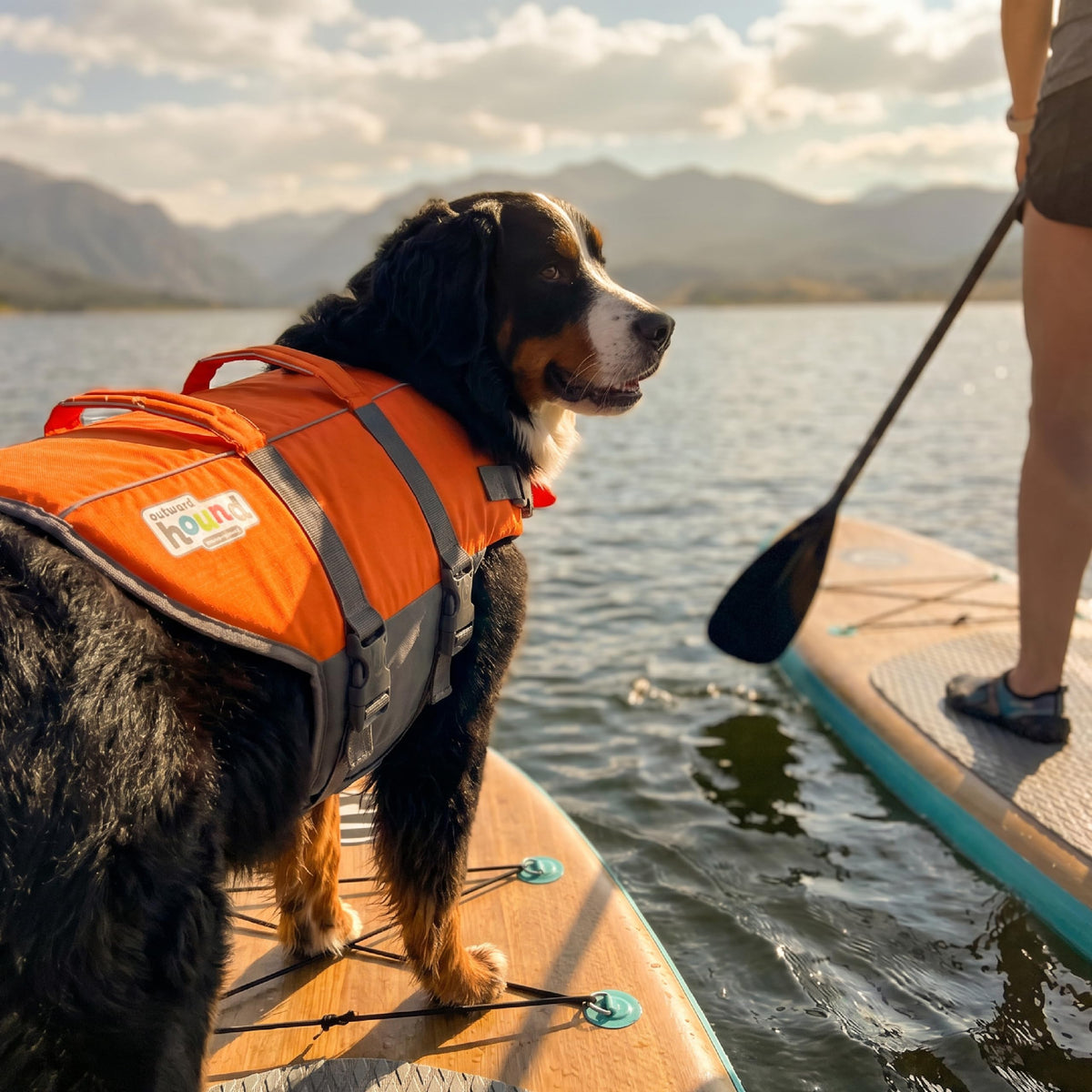 Outward Hound Granby Splash Dog Life Jacket, X-Large, Orange